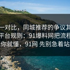 数据一对比，同城推荐的争议其实就卡在平台规则：91爆料网把流程讲透完你就懂，91网 先别急着站队